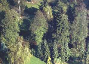 Versteckte W&ouml;rter